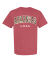 Arkansas Razorbacks Camo Filled Gault Cardinal CC Tee