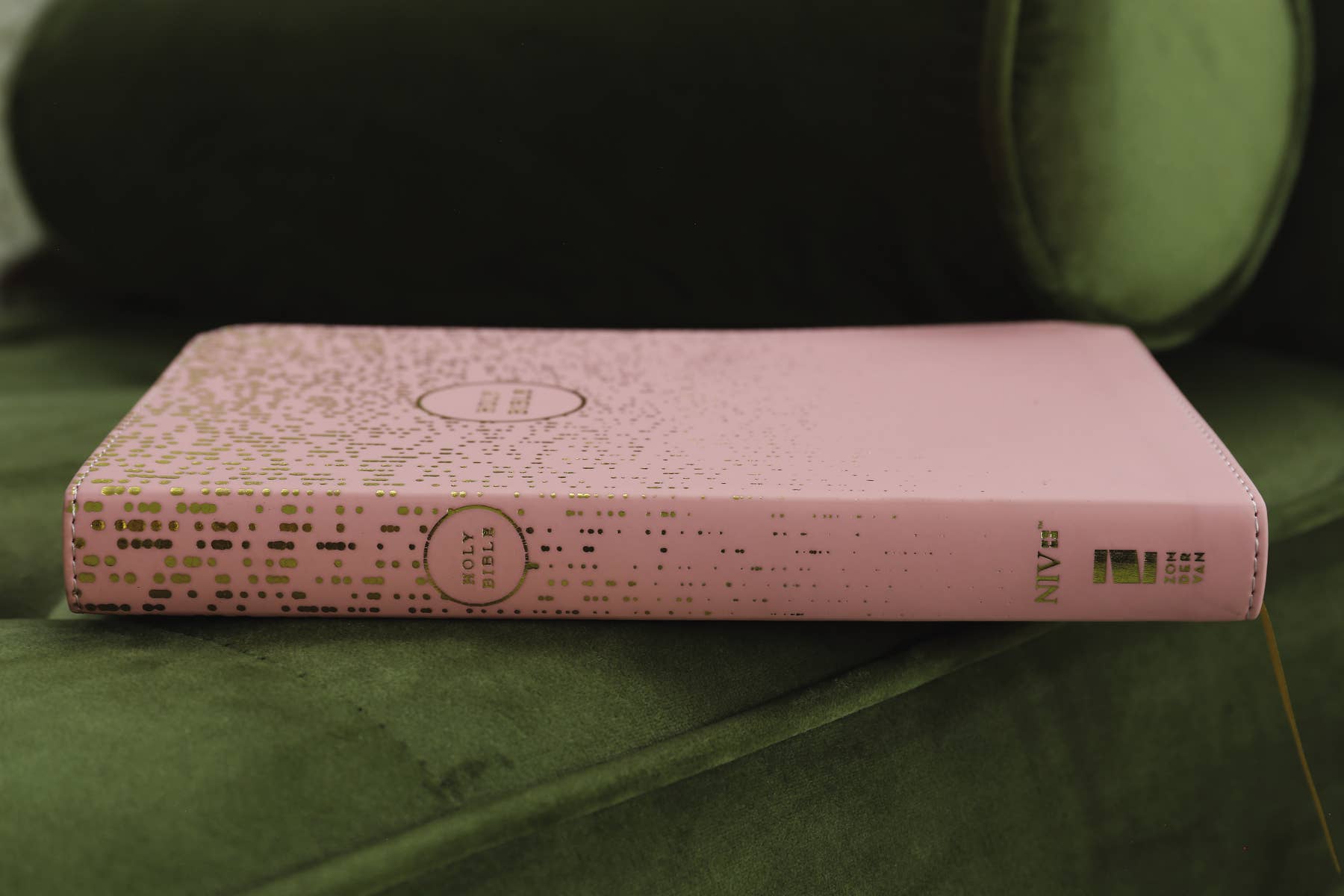 NIV, Bible For Teens