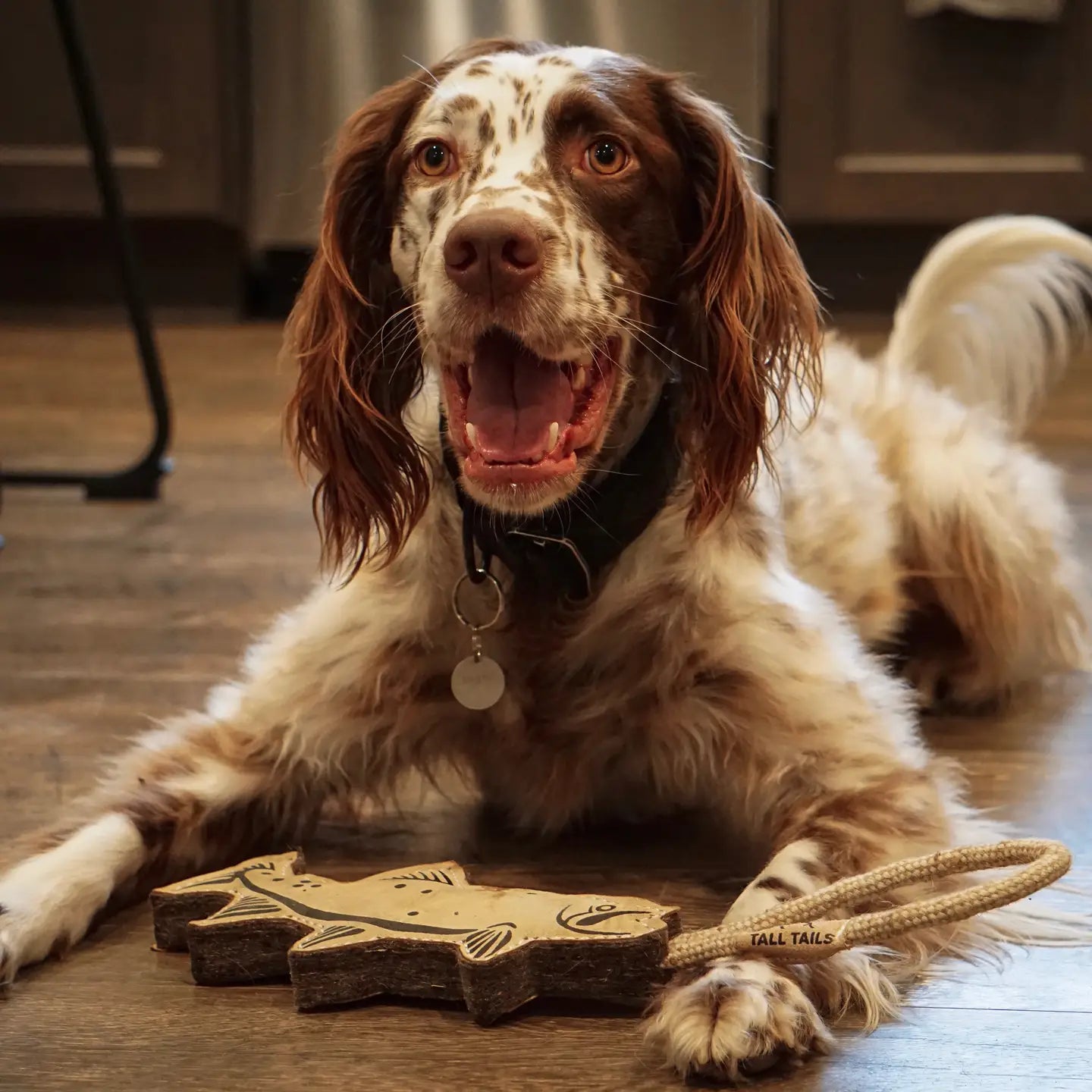 Natural Leather Trout Tug Dog Toy