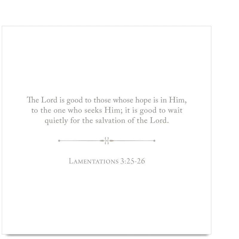 100 Days Of Scripture