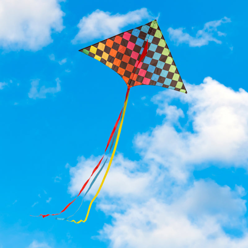 Ever Fliers Rainbow Checkers Delta Kite with Tail and Reel