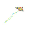 Ever Fliers Fun Floral Delta Kite with Tail and Reel