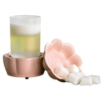 2-IN-1 Fragrance Warmer