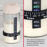 Sourdough Starter Kit