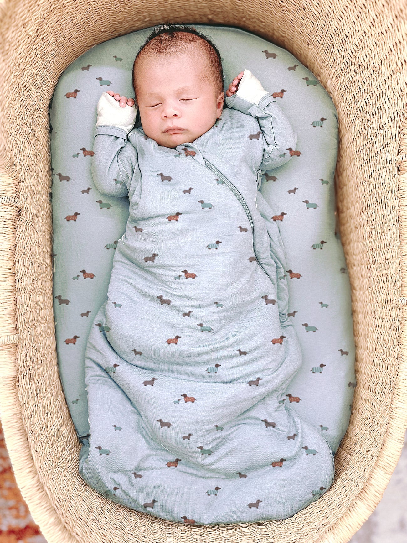 Newborn baby swaddled in a light blue blanket with dog pattern in a woven basket.