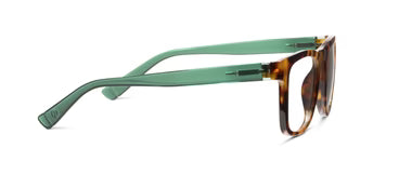 Hall-Tortoise/Green Peepers