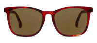 Mateo Bifocal Sunglasses- Fire Tortoise
