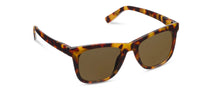Harbor Bifocal Sun- Warm Gray Sunglasses