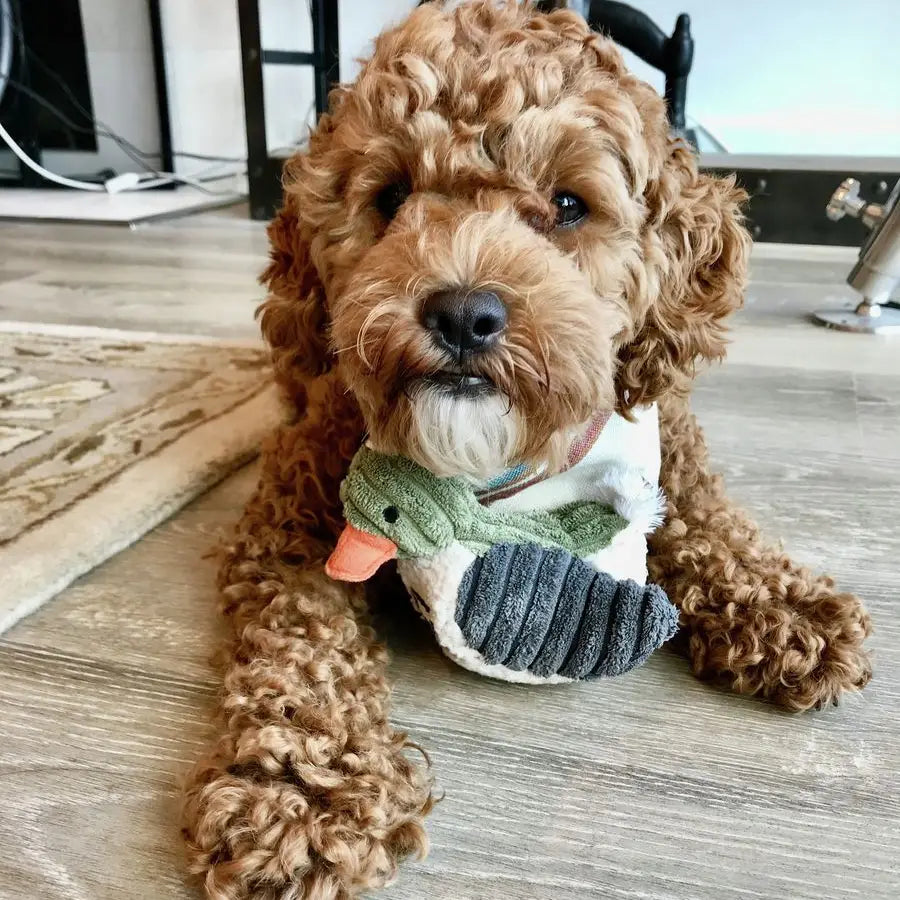 Plush Duckling Squeaker Toy