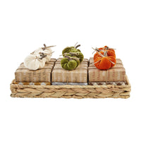 Pumpkin Bar Soap Set