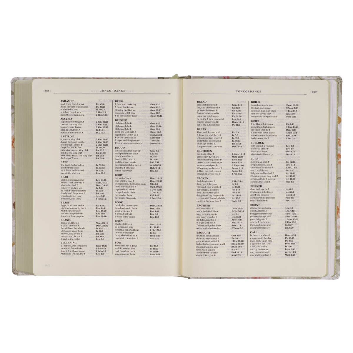 KJV The Note-taking Bible-Your Will Be Done Luke 22:42-Pink