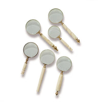 Natural Magnifying Glass