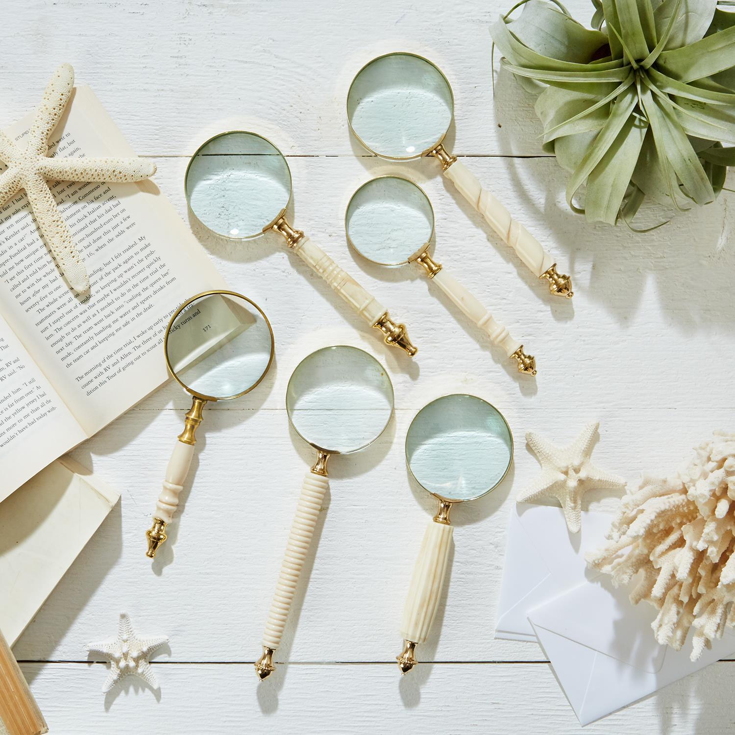 Natural Magnifying Glass