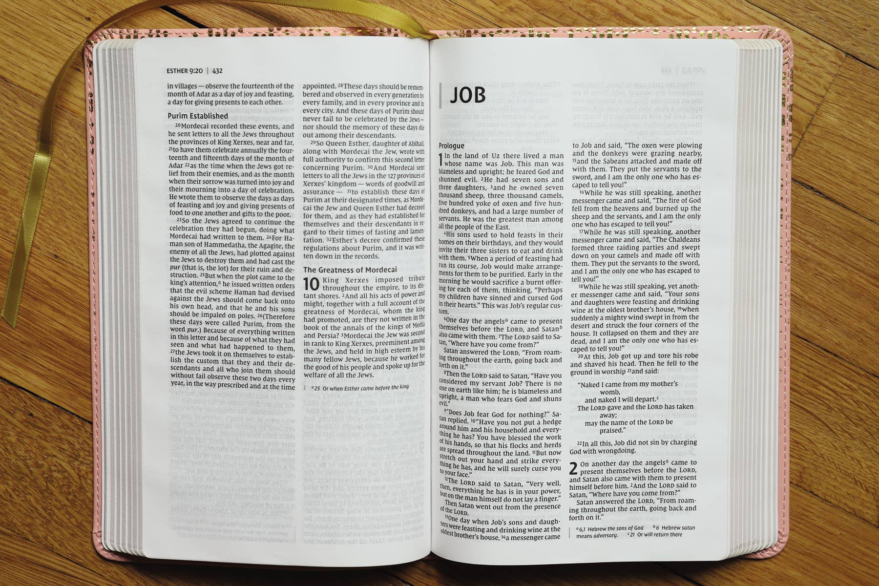 NIV, Bible For Teens