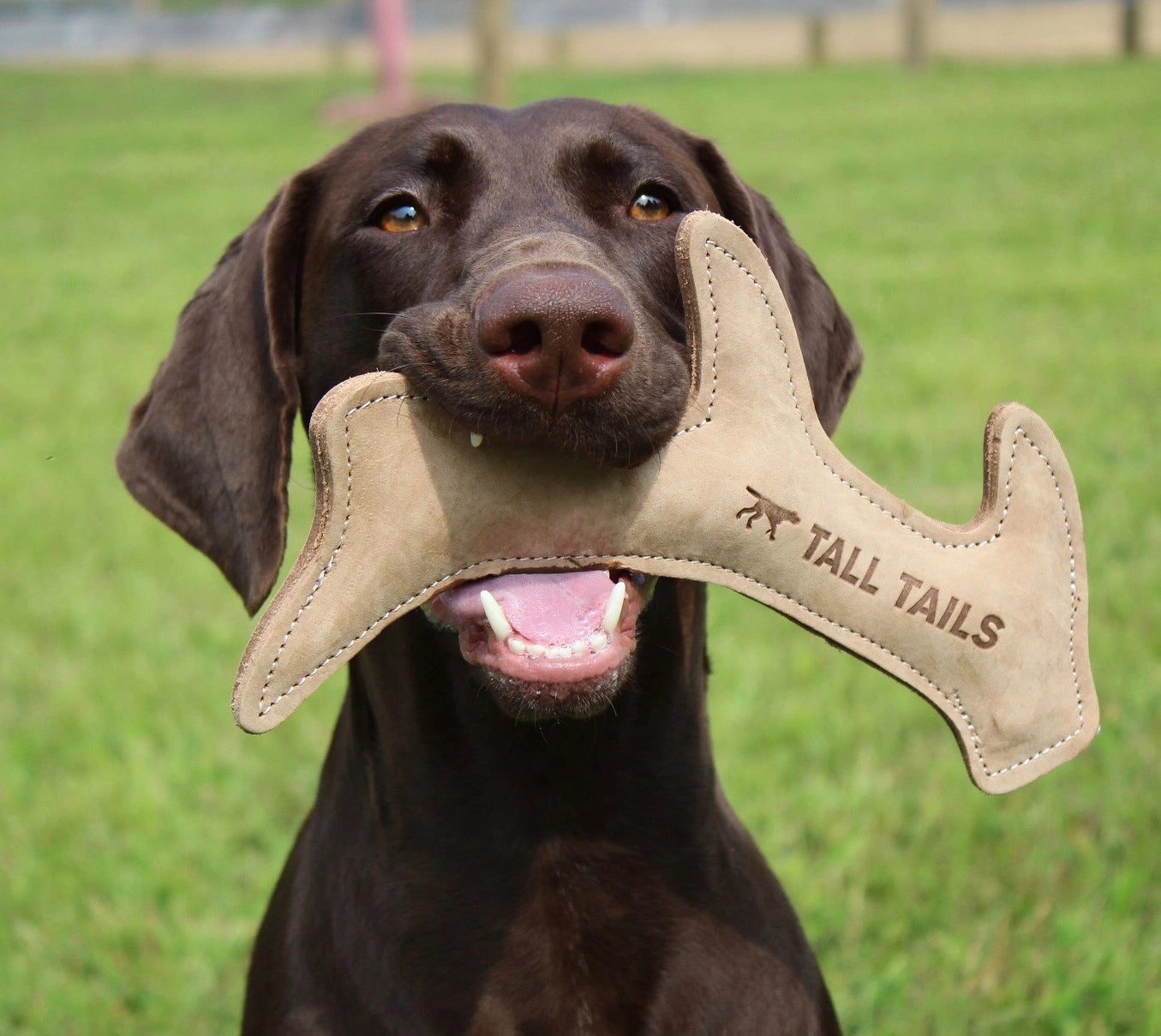 Natural Leather Antler Dog Toy