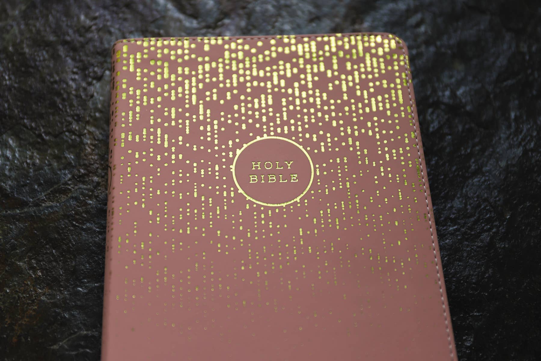 NIV, Bible For Teens