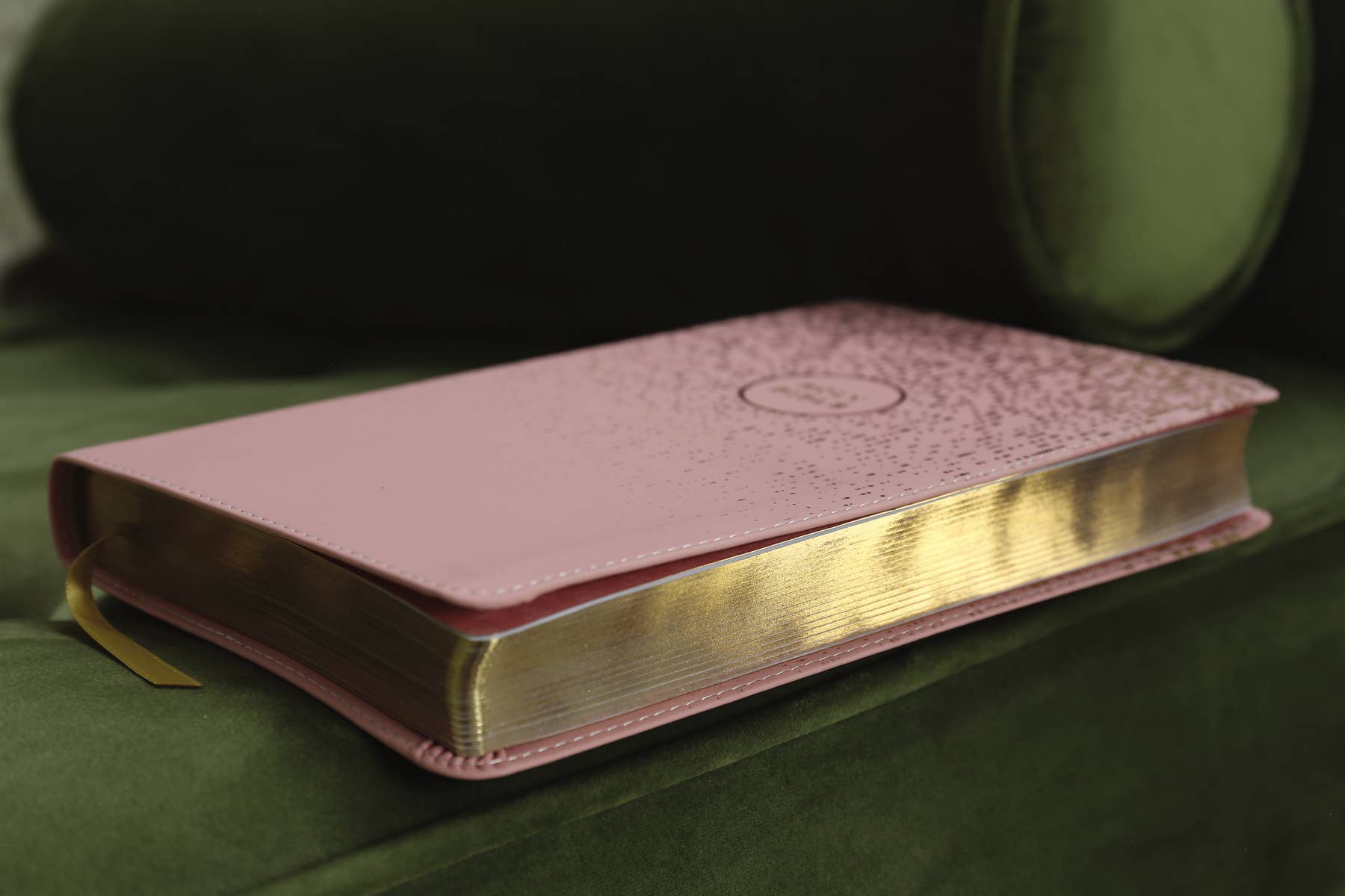 NIV, Bible For Teens