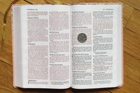 NIV, Bible For Teens