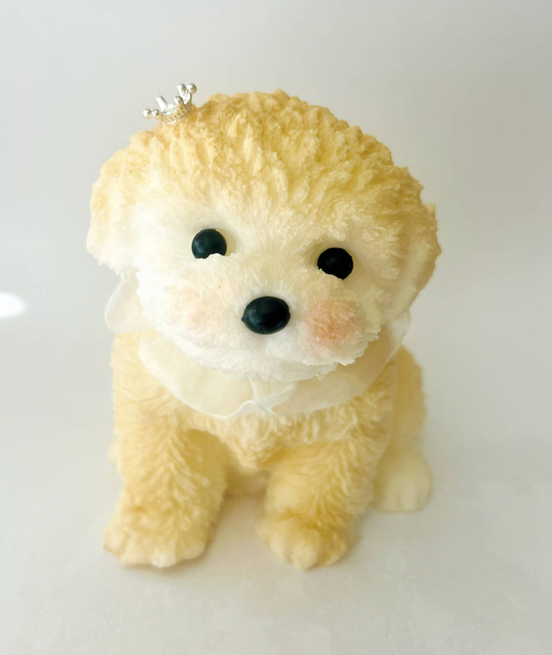 Small plush toy dog with a white background