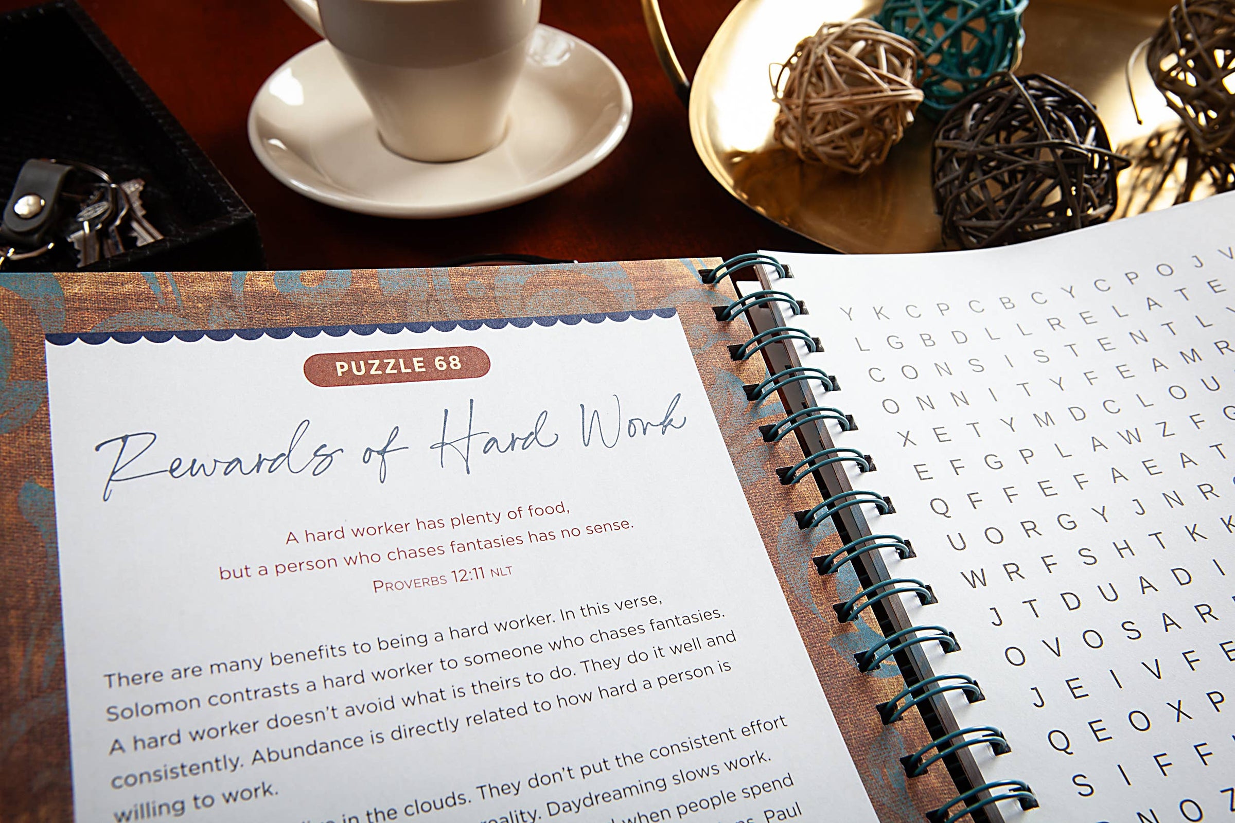 Bible Word Search Devotional (Proverbs)