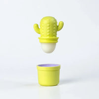 Butter Bliss Cactus + Stick