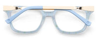Sidebar-Light Blue/Rosemary Stripe Lavender Reading Glasses