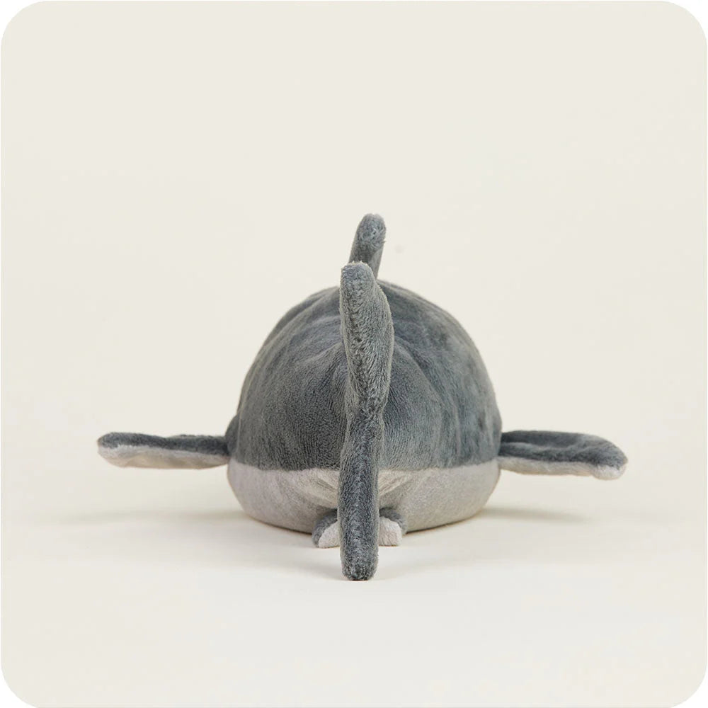 Shark Warmies Junior