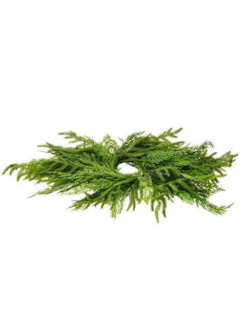 24" Real Touch Cedar Norfolk Pine Centerpiece
