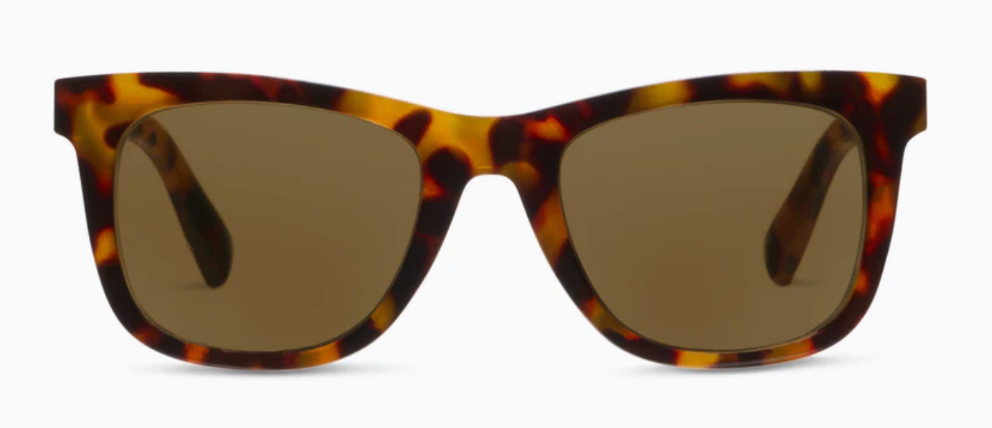 Harbor Bifocal Sun- Warm Gray Sunglasses