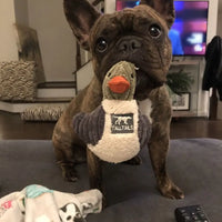 Plush Duckling Squeaker Toy