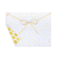 Lemons Absorbent Half Apron