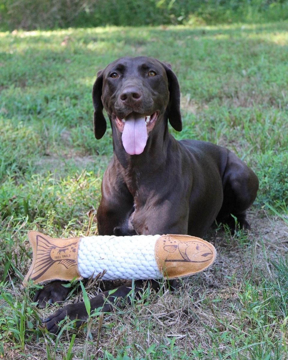 Natural Leather Trout Rope Tug Dog Toy