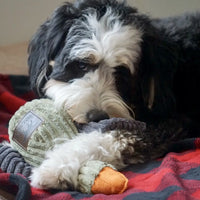 Plush Duck Squeaker Toy