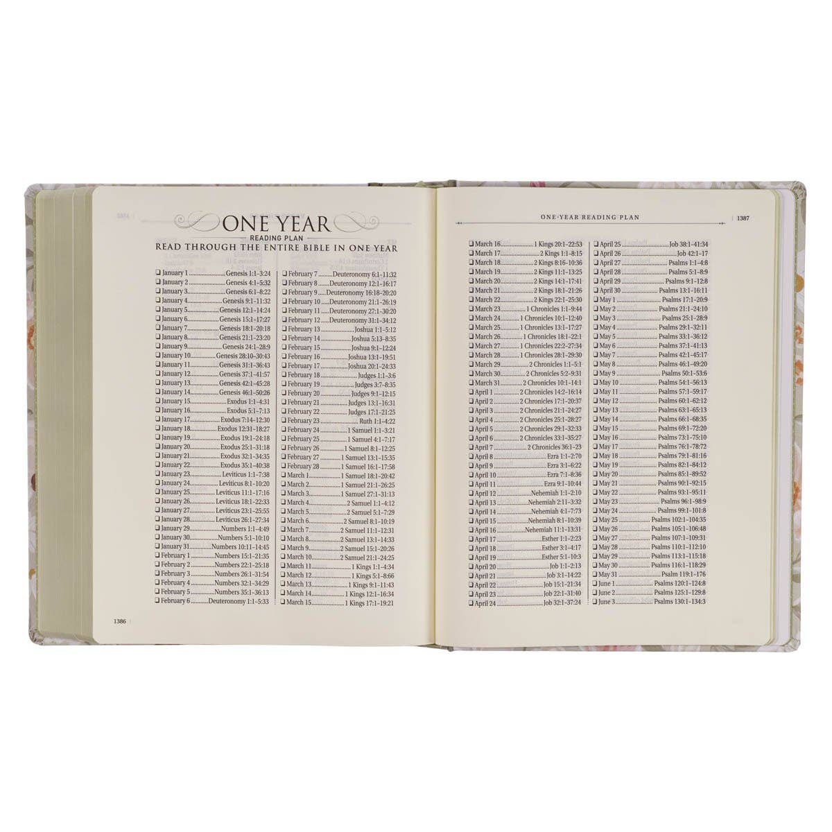 KJV The Note-taking Bible-Your Will Be Done Luke 22:42-Pink