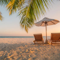 Beach scene with two chairs and an umbrella under palm leaves at sunset.