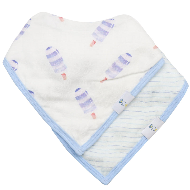 2 Pack Muslin & Terry Cloth Bib Set