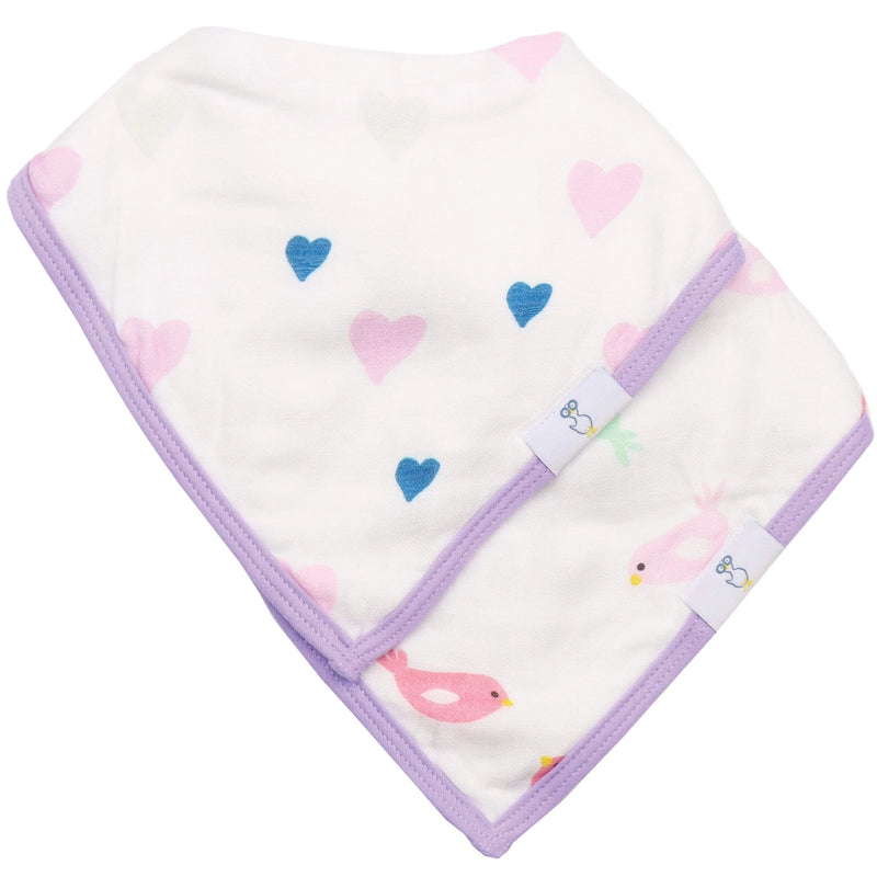 2 Pack Muslin & Terry Cloth Bib Set