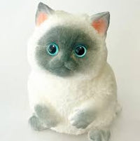 Squishy Kitty Medium