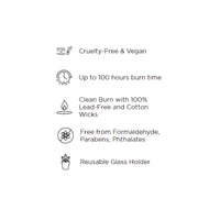 Autumn Plum 3 Wick Candle