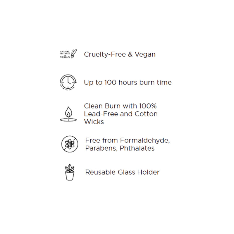 Autumn Plum 3 Wick Candle