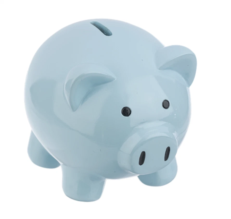 Blue Piggy Bank