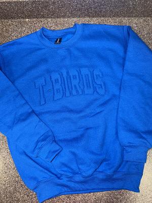 T-Birds Youth Sweatshirt