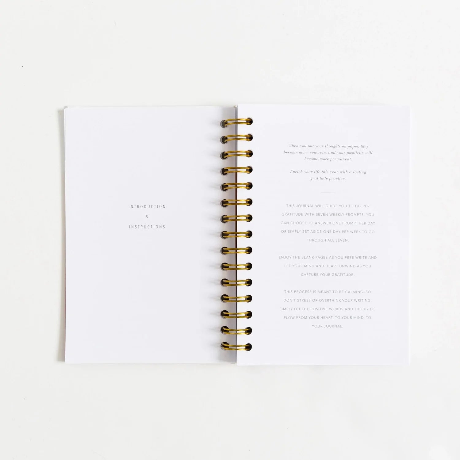 Gratitude Journal